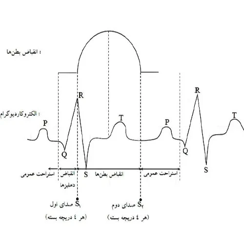 ثبت عملکرد قلب در الکتروکاردیوگرافی