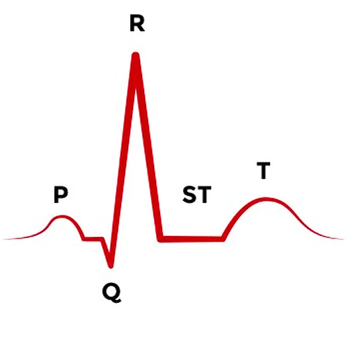 امواج ثبت شده از قلب در الکتروکاردیوگرافی
