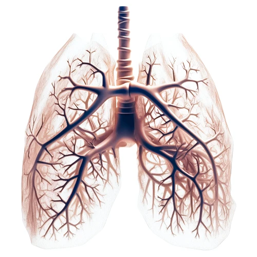 داروی پمترکسد (الیمتا) مناسب در درمان سرطان ریه