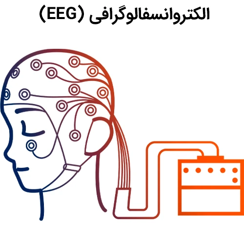 EEG از روش های تشخیص بیماری میوکلونوس