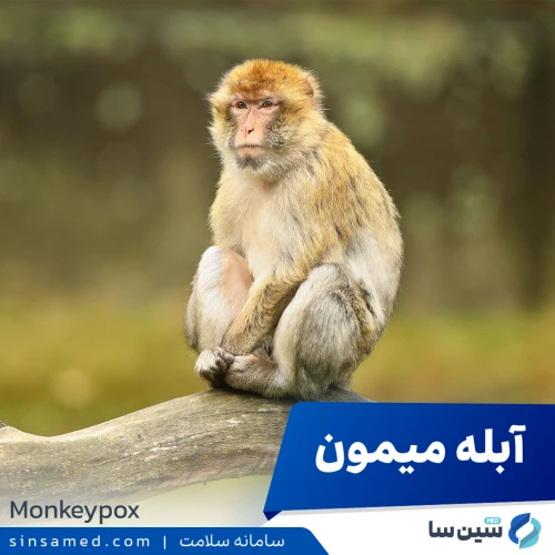 آبله میمون | علل بروز نشانه ها، روش تشخیص و درمان آن