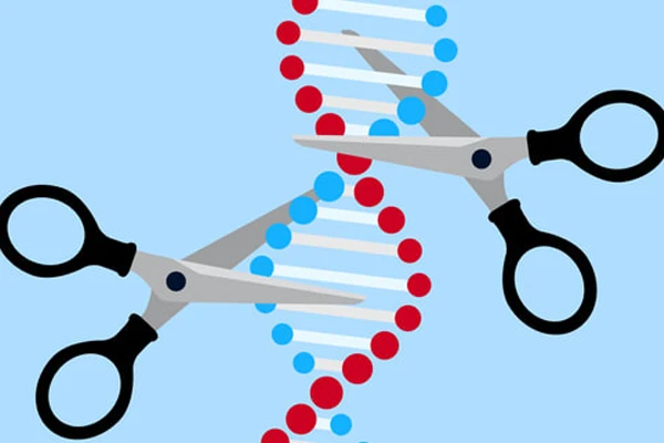 انقلاب CRISPR؛ چگونه ویرایش ژن آینده پزشکی و کشاورزی را متحول می‌کند؟