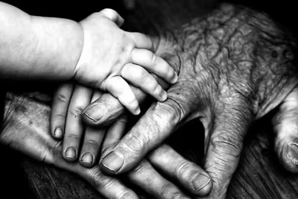 شواهد علمی جدید: بلوغ کامل مغز تا ۳۲ سالگی طول می‌کشد