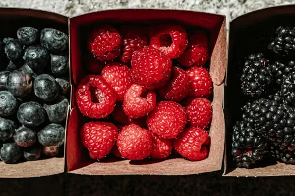 مصرف منظم پلی‌فنول‌ها با کاهش خطر بیماری‌های قلبی همراه است