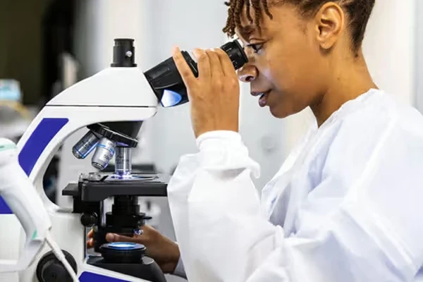 یک درمان با ترکیبی از سه دارو سرطان لوزالمعده در موش‌ها را ریشه کن کرد