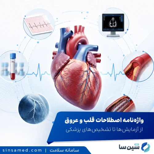 اصطلاحات قلب و عروق | از آزمایش‌ها تا تشخیص‌های پزشکی