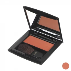 خرید رژ گونه این لی مدل Coral شماره 04 مناسب برای انواع پوست
