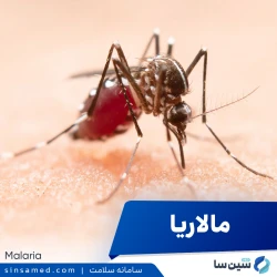بیماری مالاریا | علل بروز، نشانه ها، روش تشخیص و درمان