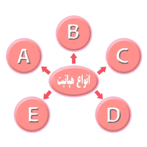 بیماری هپاتیت از موارد احتیاطی مصرف داروی تنوفوویر