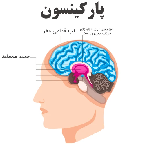 کنترل بیماری پارکینسون با مصرف داروی تولکاپون