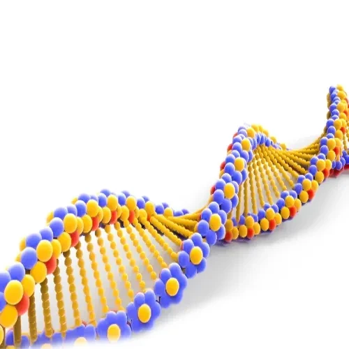 تغییرات ژنتیکی از عوامل بروز لنفوم سلول های تی پوستی