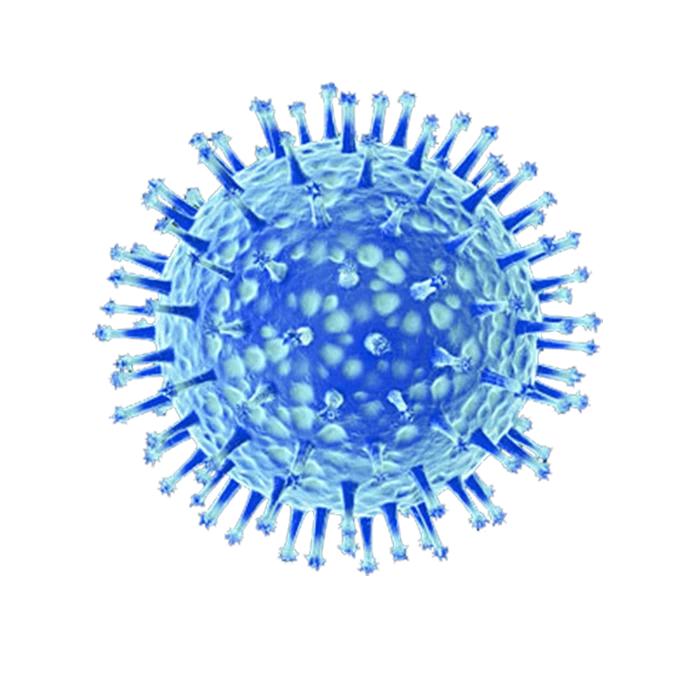 ویروس آنفولانزای خوکی