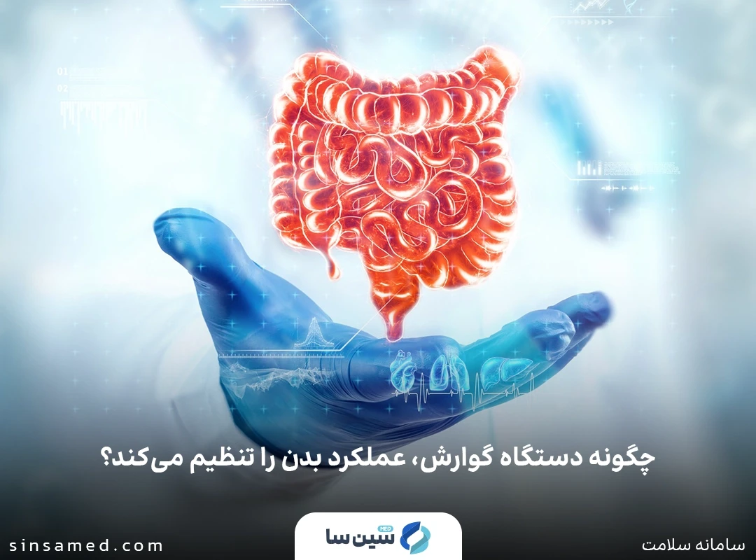 چگونه دستگاه گوارش، عملکردهای بدن را تنظیم می کند؟