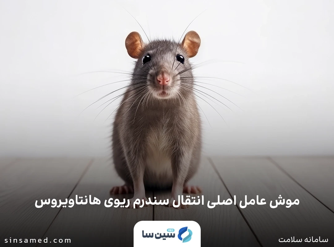 موش عامل اصلی انتقال سندرم ریوی هانتاویروس