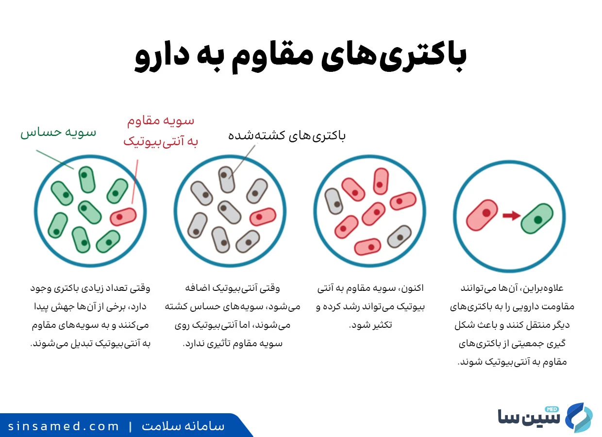 باکتری های مقاوم به دارو
